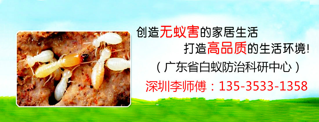 【签约】祝贺广东新威达白蚁防治有限公司开通4001161768服务热线